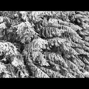 Meet your Posher, Andy